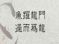 中体竞赛管理有限公司北京分公司
