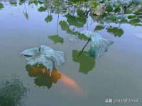 中体竞赛管理有限公司北京分公司
