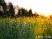 中体竞赛管理有限公司北京分公司