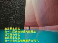 中体竞赛管理有限公司北京分公司
